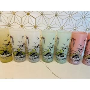 Vintage Libbey Southern Belle Frosted‎ Glasses | Set of 7 | Rare Multi-Color Set